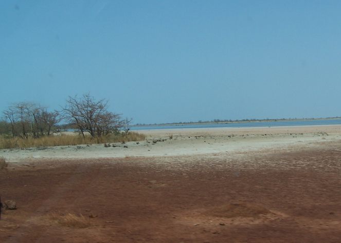 le Saloum à marée basse aux environs de Foundiougne 